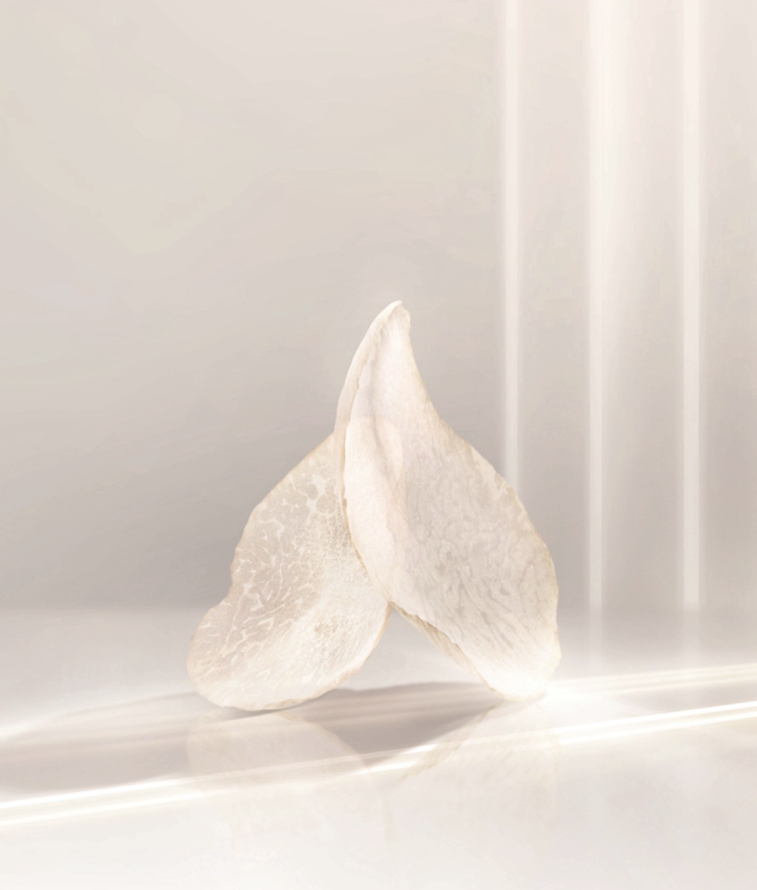 The Miraculous Regeneration Power of White Truffles